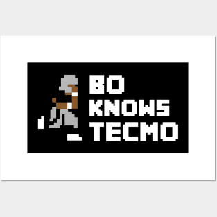 Bo Knows Tecmo Posters and Art